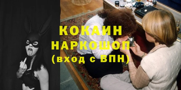 дживик Гусь-Хрустальный