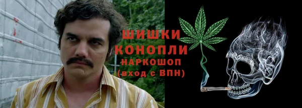PSILOCYBIN Гусев