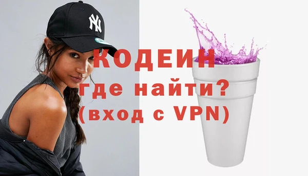 дживик Гусь-Хрустальный