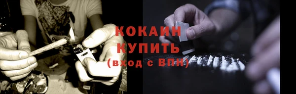 дживик Гусь-Хрустальный