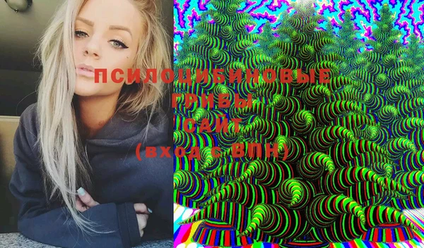 PSILOCYBIN Гусев