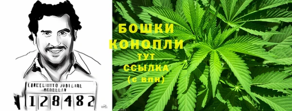 PSILOCYBIN Гусев