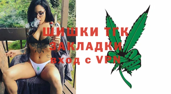 PSILOCYBIN Гусев