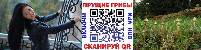 Галлюциногенные грибы мухоморы  Голицыно 